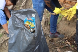 Projeto Vale Sustentável 