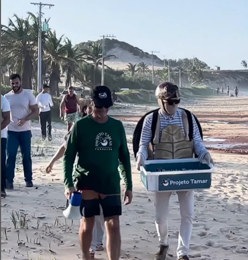 Ação do Porjeto Tamar e  Prefeitura em PIPA foto reprodução