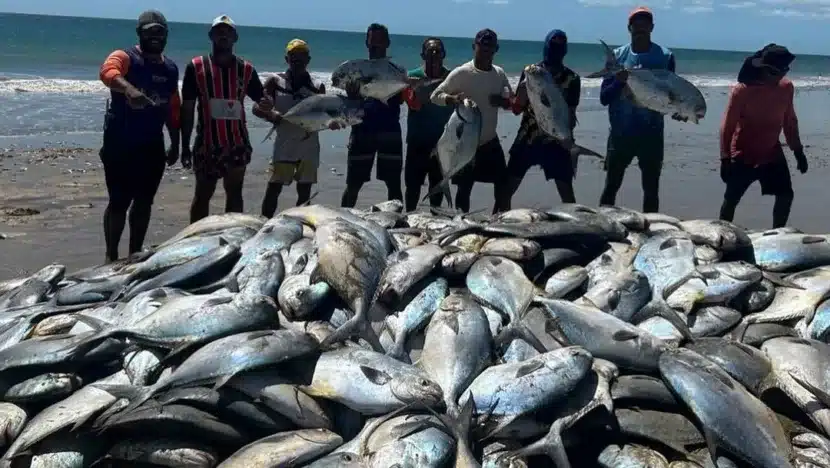 Pescadores do RN 7 mil peixes
