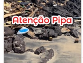 mutirão de limpeza na praia da pipa
