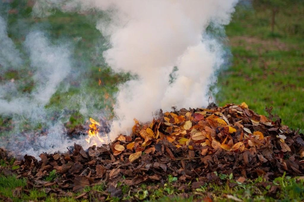 prefeitura-de-goiania-alerta-populacao-sobre-perigos-de-colocar-fogo-em-lixo-domestico-e-entulhos