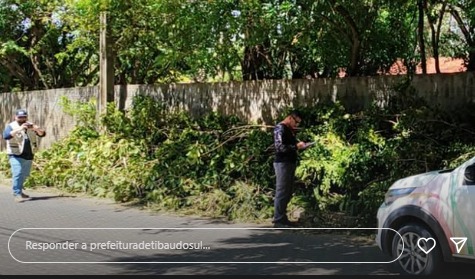 Prefeitura de Tibau do Sul notifica poda na rua
