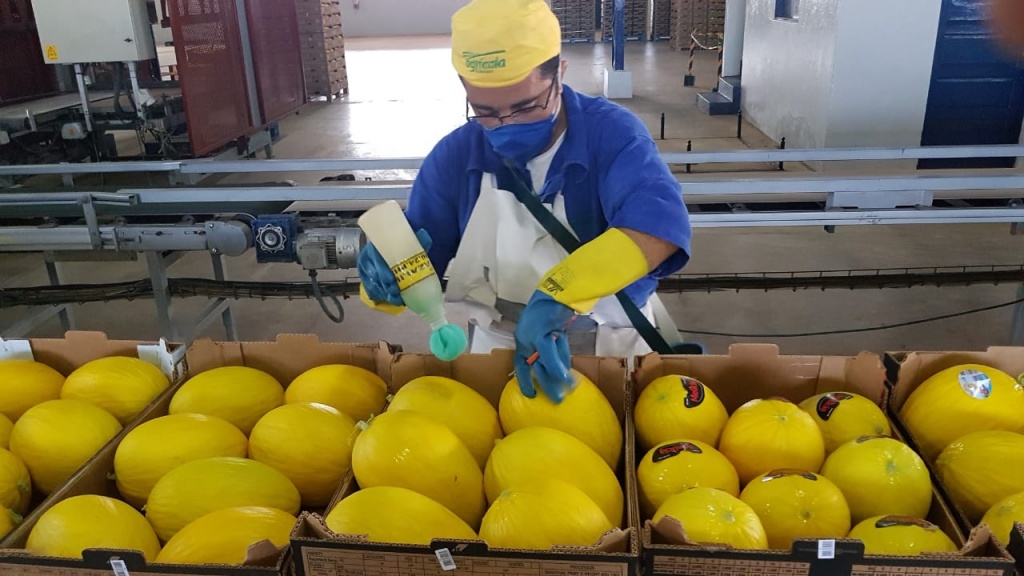 Exportações do RN