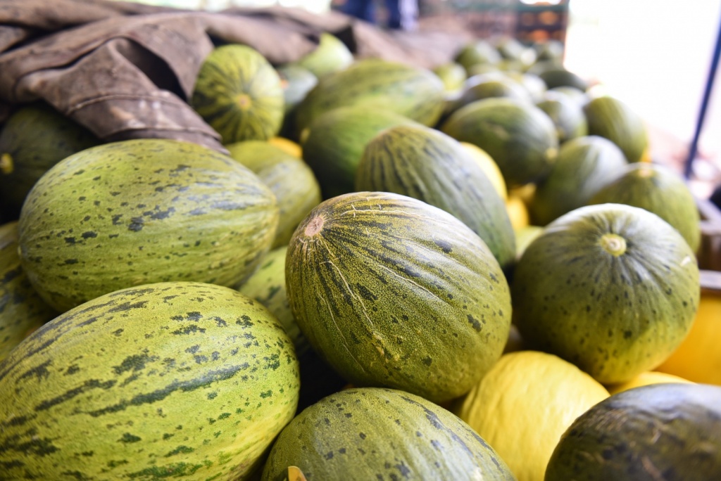 setor de exportação de frutas foi um dos segmentos que ajudaram ao PIB do RN em 2024