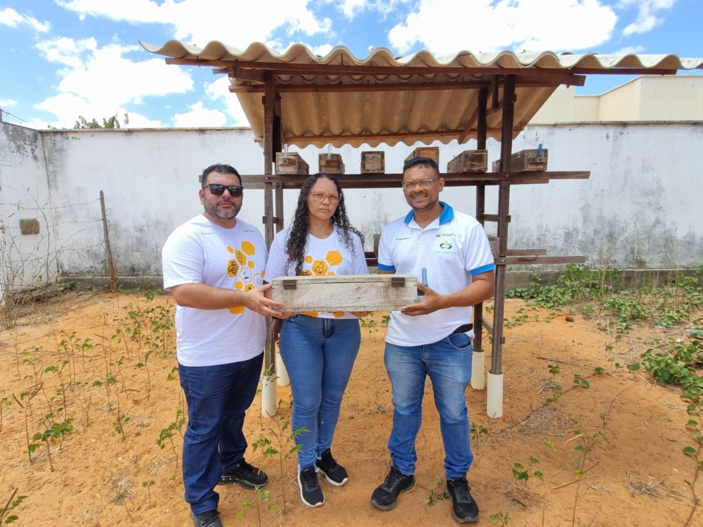 Mel de abelhas nativas do Bioma Caatinga foto elizangelo fernandes