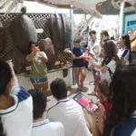 Atendimento Escolas Museu da Tartaruga Santuario Ecologico foto divulgação