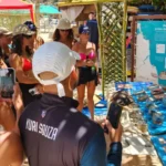 Exposição Tartarugas Marinhas foto divulgação