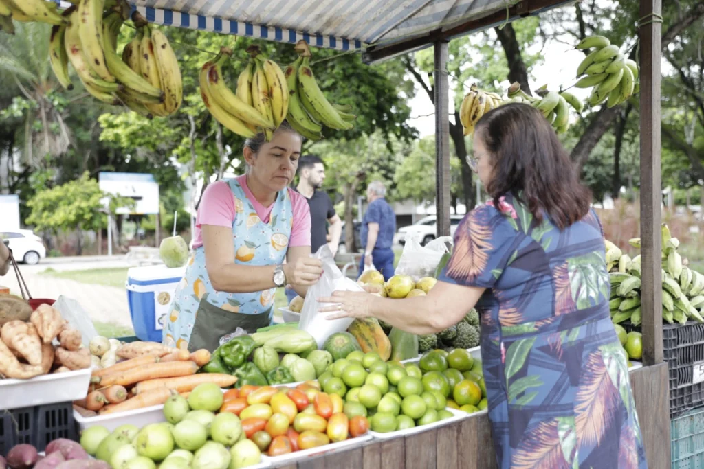 No RN, a proporção de mulheres responsáveis por domicílios era de 56,4, e acima da média do país (51,%), em 2024. Foto Elisa Elsie Arquivo ASSECOM