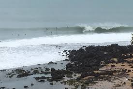 surf