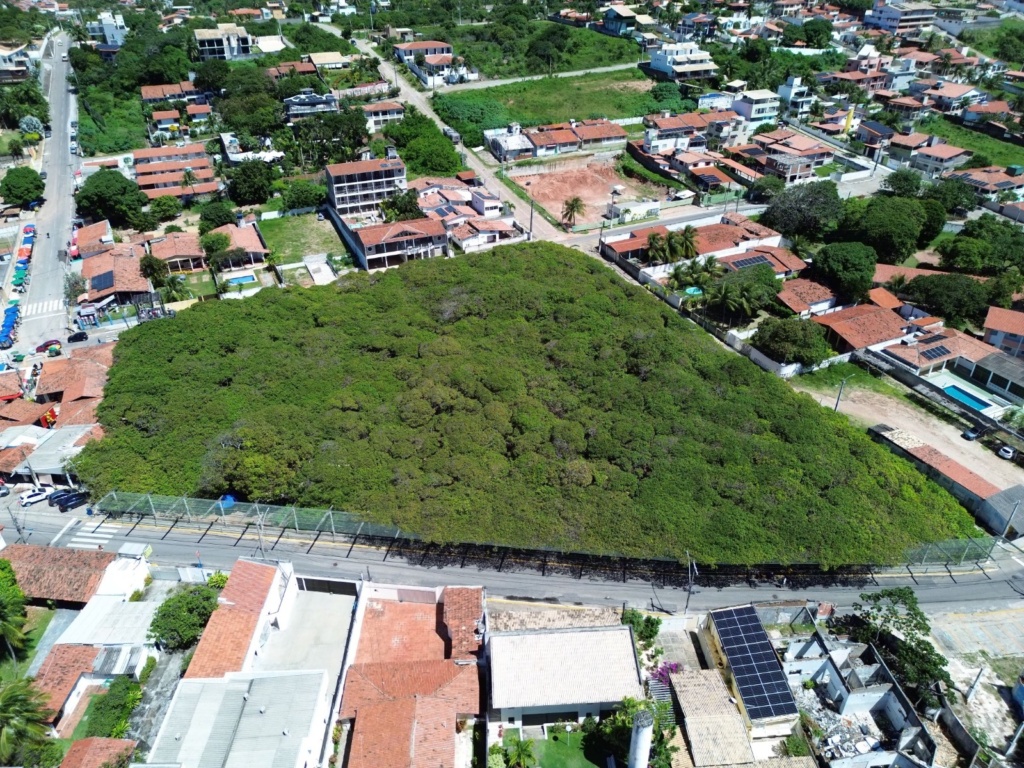 Cajueiro Foto João Vital
