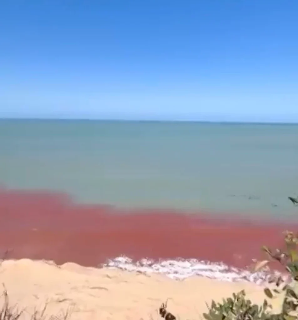 Mare Vermelha imagem reprodução Tibau do Sul Noticias