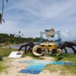 Barra de Cunhau foto reprodução