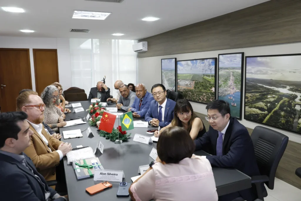 Reunião com State Grid CPFL - Carmem Felix