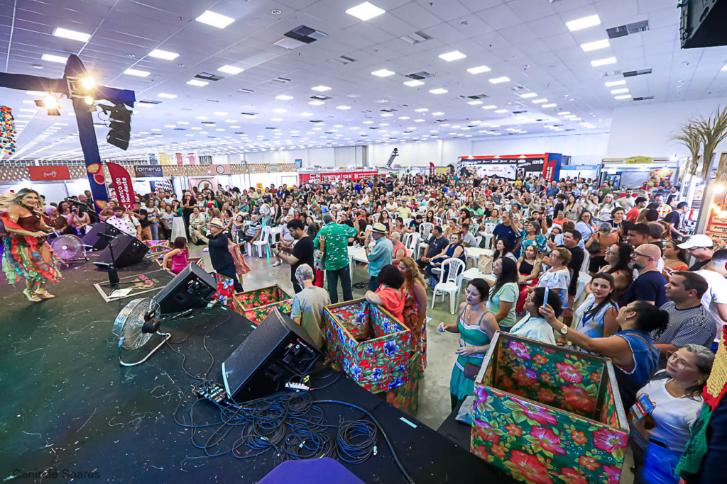 31ª FIART Cultural - Fotos Canindé Soare