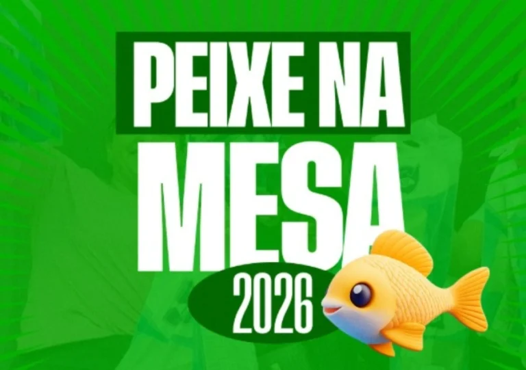 peixe na mesa tibau do sul