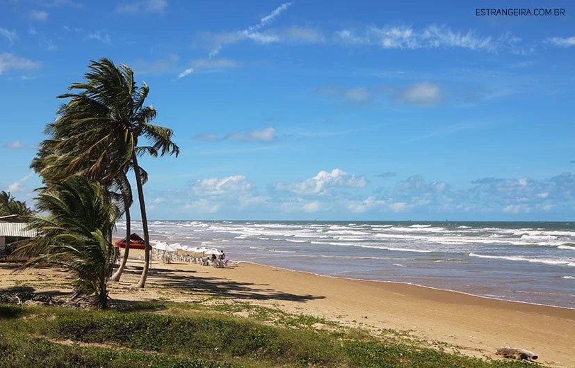 Praia dos Naufragos SE foto estrangeira com br