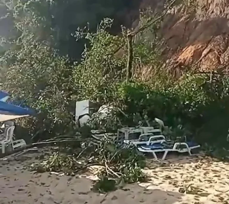 reprodução redes sociais (1)