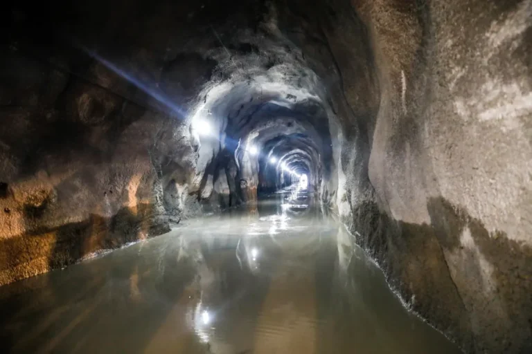 TÚNEL MAJOR SALES