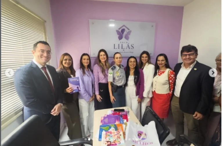 SALA LILAS GOIANINHA